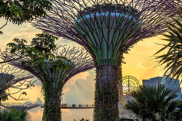 准备明年入读Raffles Singapore申请节点规划